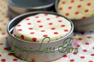 solid lotion bar open tin red wrapper
